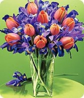 Červené tulipány